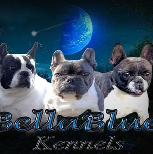 Meet your Posher, Jay